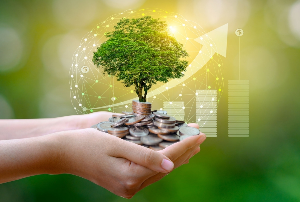 Investing in socially responsible large-cap growth stocks