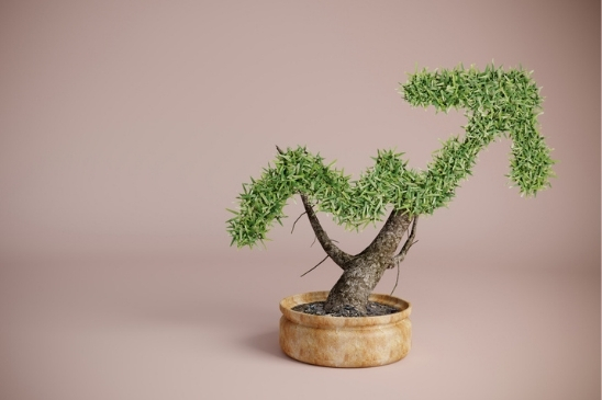 An image of an arrow-shaped tree pointing upwards and sitting on a beige background. Symbolizes the concept of ESG investing